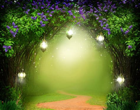 Quiet Forest Backdrop Natural Scenery Photography Background Banner