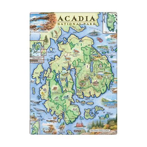 Acadia Magnets Are 35 X 25 Acadia National Park Map National Parks