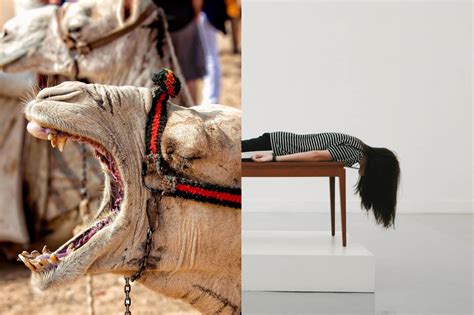 How the camel got his hump. Analysis of The Camel's Hump by Rudyard Kipling