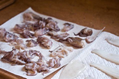 Squid Drying Brooke Herman Flickr