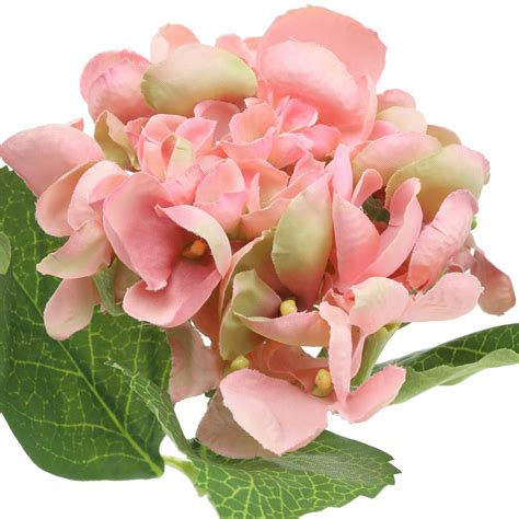 Maybe you would like to learn more about one of these? Hortensie Rosa 33cm 1St-63260 preiswert online kaufen