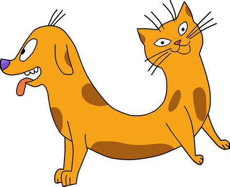 Catdog Real By Heinousflame On Deviantart