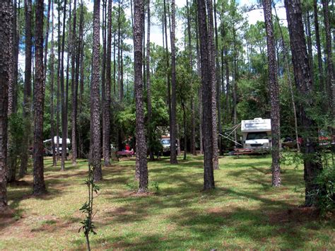 Traveling With The Longdogs Pine Log Florida State Forest