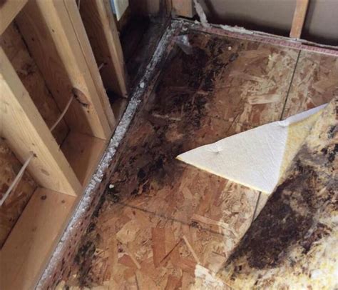 You may need to replace your carpet. Mold Discovered in Wall and Under Carpet | SERVPRO of Madison South & West