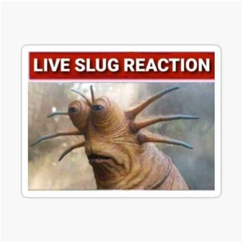 Live Slug Reaction Meme Phenomenon Live Slug Reaction Meme For Famous