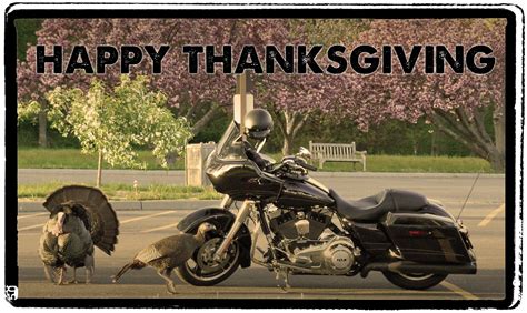 Happy Thanksgiving Ride Safe Thanksgiving Harley Turkey