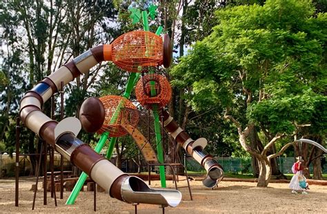 Ultimate Guide To The Best Playgrounds In Collin County Tx Ph