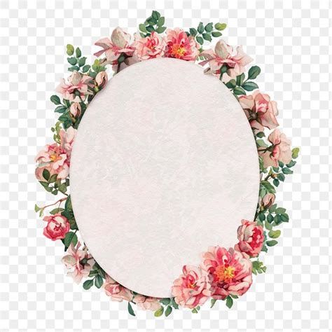 Png Pink Rose Frame Botanical Oval Badge Free Image By Rawpixel