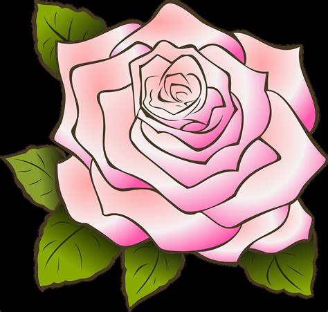 Fleur Dessin Rose Inspirant Collection Rose Dessin Vintage