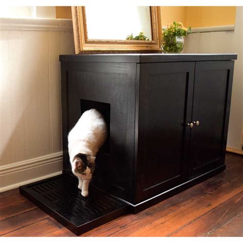 So, sleeping in the litter box is not always an insecurity thing. Refined Cat Litter Box