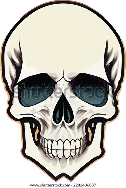 Human Skull Realistic Vector Illustration Stock Vector Royalty Free