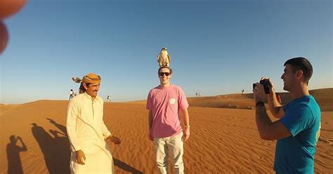 Falcon In Dubai Imgur