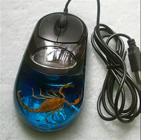 Real Scorpions Insect Amber 3d Usb Computer Optical Mouse For Laptops