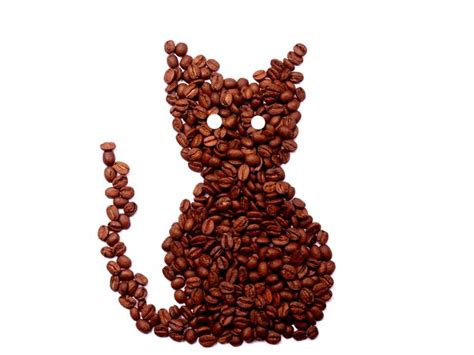 Related searches for black cat coffee: Free stock photos - Rgbstock - Free stock images | Coffee ...