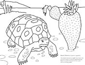 Can animal cells be unicellular? Biology Coloring Pages & Worksheets | ASU - Ask A Biologist