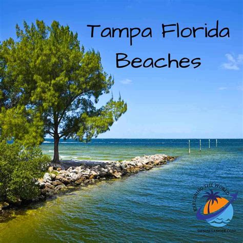 Tampa Florida Beaches A Guide To Pristine Shorelines And A Wonderful