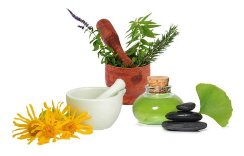 Pour savoir utiliser les plantes, il faut d'abord connaître leurs propriétés. Comment se soigner avec des plantes médicinales et la ...