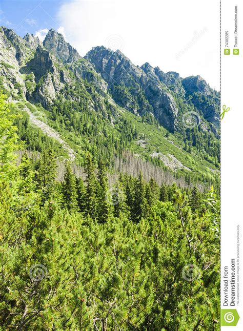 Beautiful Green Mountain Stock Image Image Of View Blue 74382285