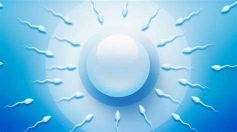 Male Infertility 10 Factors That Affect Sperm Count And Morphology