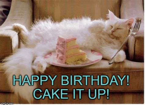 20 Cat Birthday Memes That Are Way Too Adorable