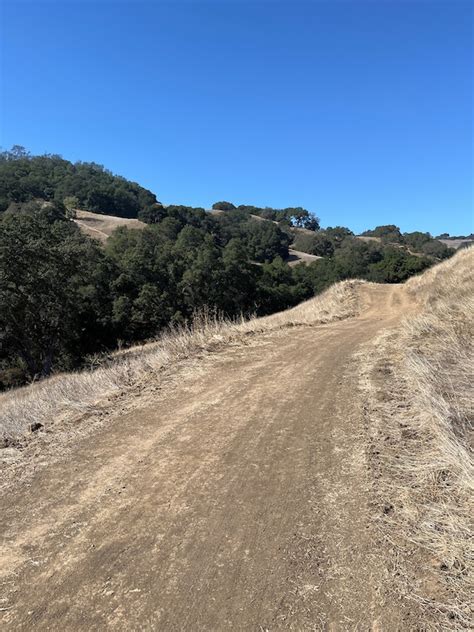 Old Finley Road Multi Trail Danville California