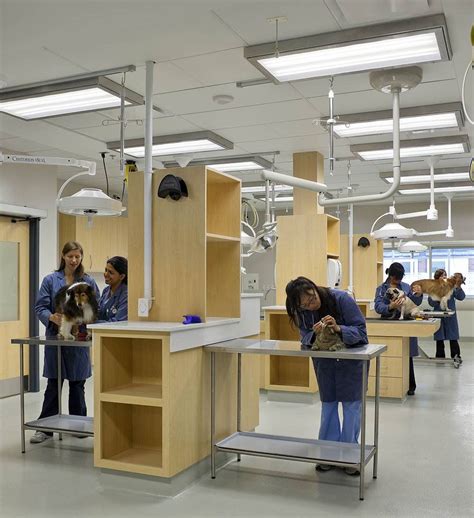 The practice offers services and consultancy to the public on the handling of domesticated animals. University of Guelph , Hill s Pet Nutrition Primary ...