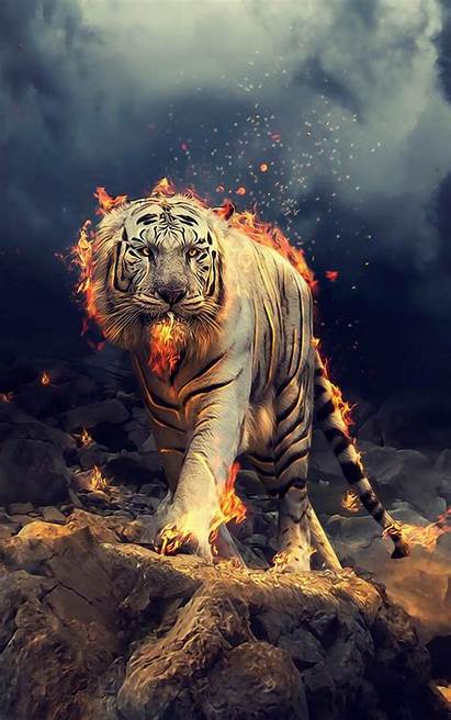 Tiger Cgi Mobile Fire 4k Wallpapers Ultra