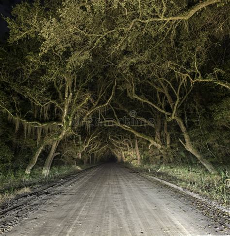 Spooky Haunted Eerie Country Dirt Road Stock Image Image Of Dirt