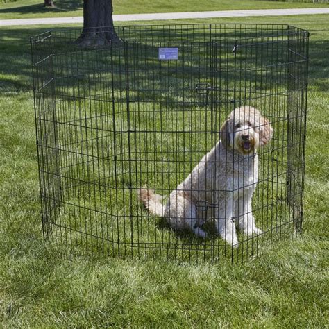 The Top 10 Cheap Dog Fences For 2021 Dogs Experts