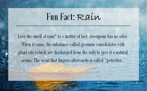 Love The Smell Of Rain Todays Fun Fact Is All About The Smells