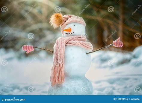 Funny Snowman In A Park Stock Photo Image Of Cheerful 114594166