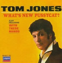 Image result for Tom Jones pussy cat