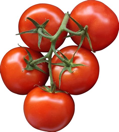 Onlinelabels Clip Art Tomatoes