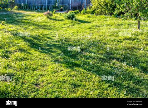 Path Mown Through Long Grass Hi Res Stock Photography And Images Alamy