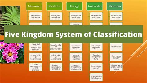 Five Kingdom System Of Classification Whittaker S System Of Classification Biology Youtube