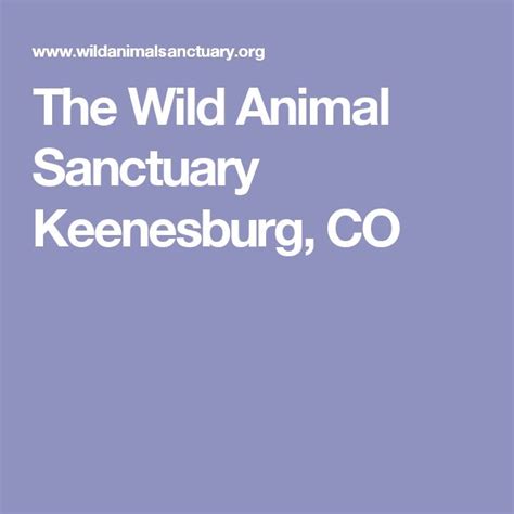 The Wild Animal Sanctuary Keenesburg Co Wild Animal Sanctuary