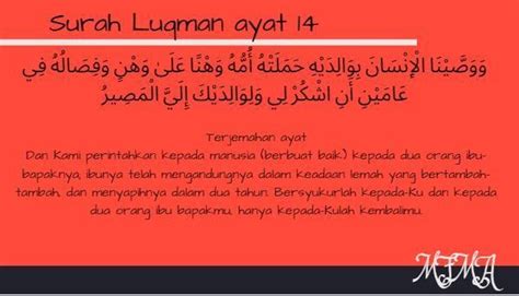 Qiroah surah luqman ayat 1215 dewi masithoh spd. Kandungan Surah Al Luqman Ayat 14 15 - Mind Books