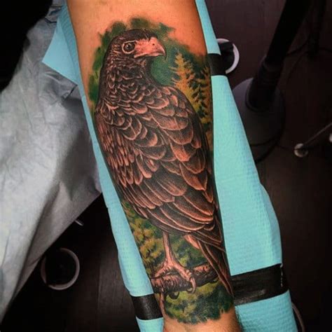 100 Hawk Tattoo Designs For Men Masculine Bird Ink Ideas