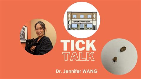 Tick Talk With Dr Jennifer Wang Youtube