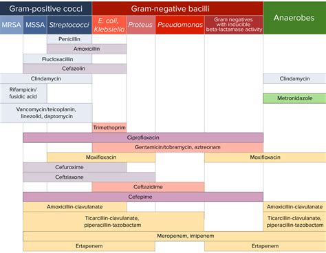 Antibiotic Bacteria Chart
