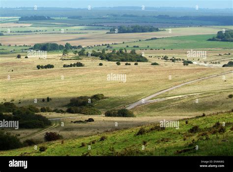 Salisbury Plain Wiltshire Uk Used As A Military Training Area By The