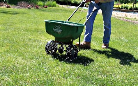 Fertilize The Lawn Properly Homes Network