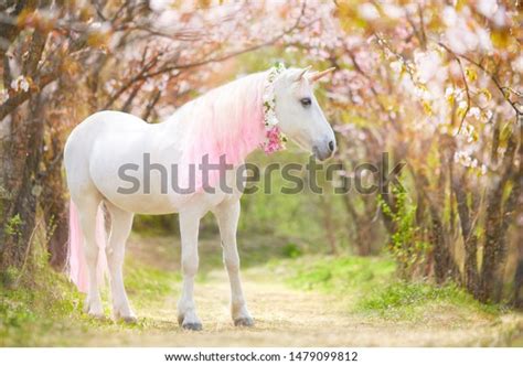 7575 Unicorn Horse Stock Photos Images And Photography Shutterstock