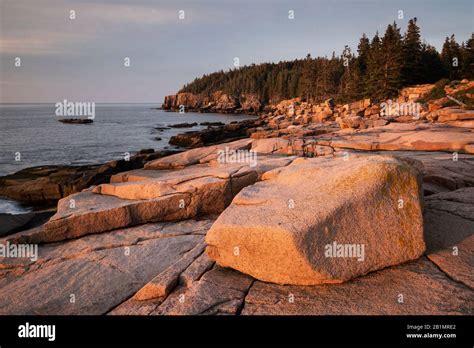 Otter Cliffs At Sunrise In Acadia National Park In Maine Stock Photo