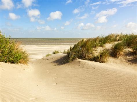 Built in 1901, it remains as awe inspiring as it was in the early 20th century. North Sea Beach And Dunes, Belgium Stock Photo - Image of vacation, landmark: 40986848