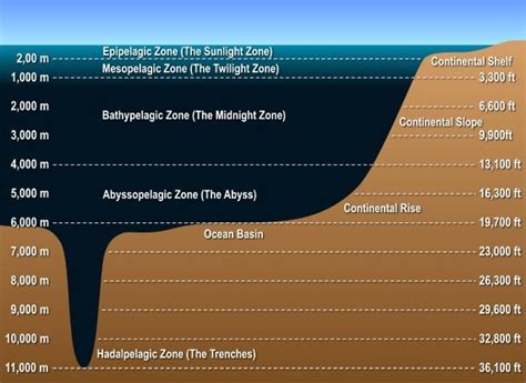 Mariana Trench Diagram1 Pacific Oceans Mariana Trench At 11033 Meters