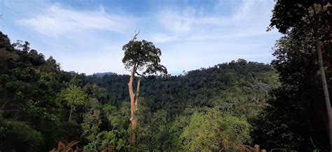 02.11.2020 · 8 air terjun best di negeri sembilan. Keunikan Taman Negeri Kenaboi Negeri Sembilan ~ Qisstiera