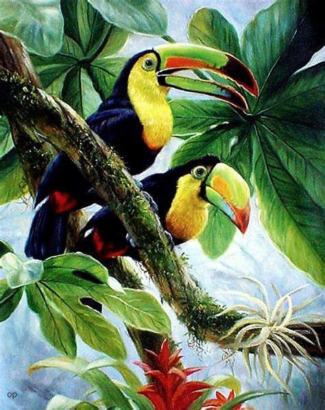 Lovely Tropical Birds Exotic Birds Tropical Art Colorful Birds