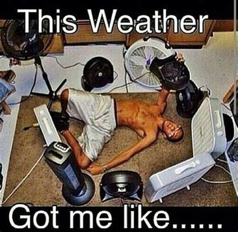 Funny Pictures Of The Day 49 Pics Hot Weather Humor Weather Memes Funny Weather Weather