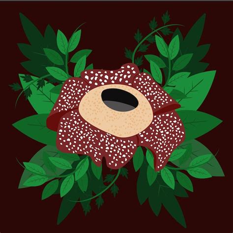 Premium Vector Vector Flower Illustration Flower Rafflesia